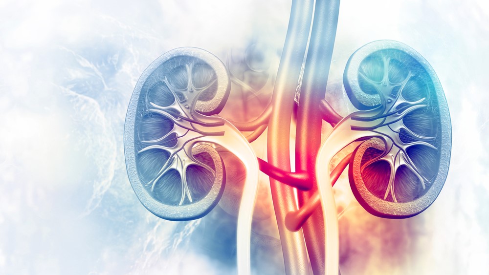 Empagliflozina pode reduzir a probabilidade de progressão da doença renal crônica e melhorar a categoria de risco KDIGO em pacientes com diabetes tipo 2?