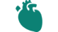 Anatomical-heart