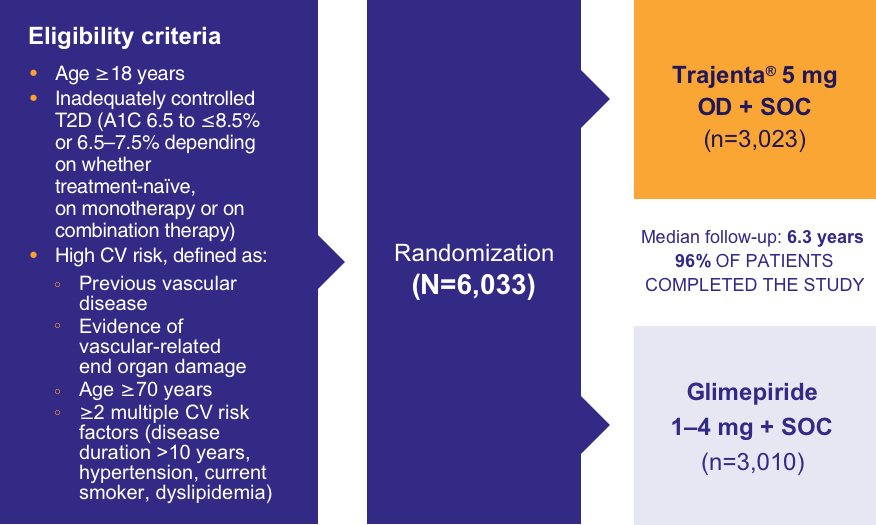 Eligibility criteria included: Age ≥18 years, Inadequately controlled T2D (A1C 6.5 to ≤8.5% or 6.5¬–7.5% depending on whether treatment-naïve, on monotherapy or on combination therapy), High CV risk, defined as: Previous vascular disease, Evidence of vascular-related end-organ damage, Age ≥70 years, ≥2 multiple CV risk factors (disease duration >10 years, hypertension, current smoker, dyslipidemia). Randomization (N=6,033) was to Trajenta® 5 mg once daily plus standard of care (n=3,023) or to glimepiride 1 to 4 mg plus standard of care (n=3,010). Median follow-up was 6.3 years and 96% of patients completed the study.
    