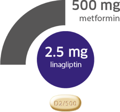 2.5/500 mg Jentadueto® tablet