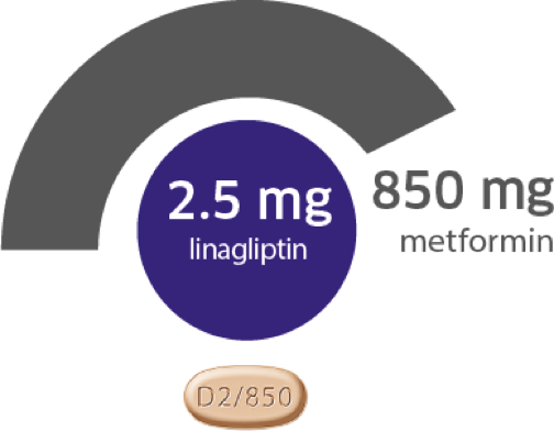 2.5/850 mg Jentadueto® tablet