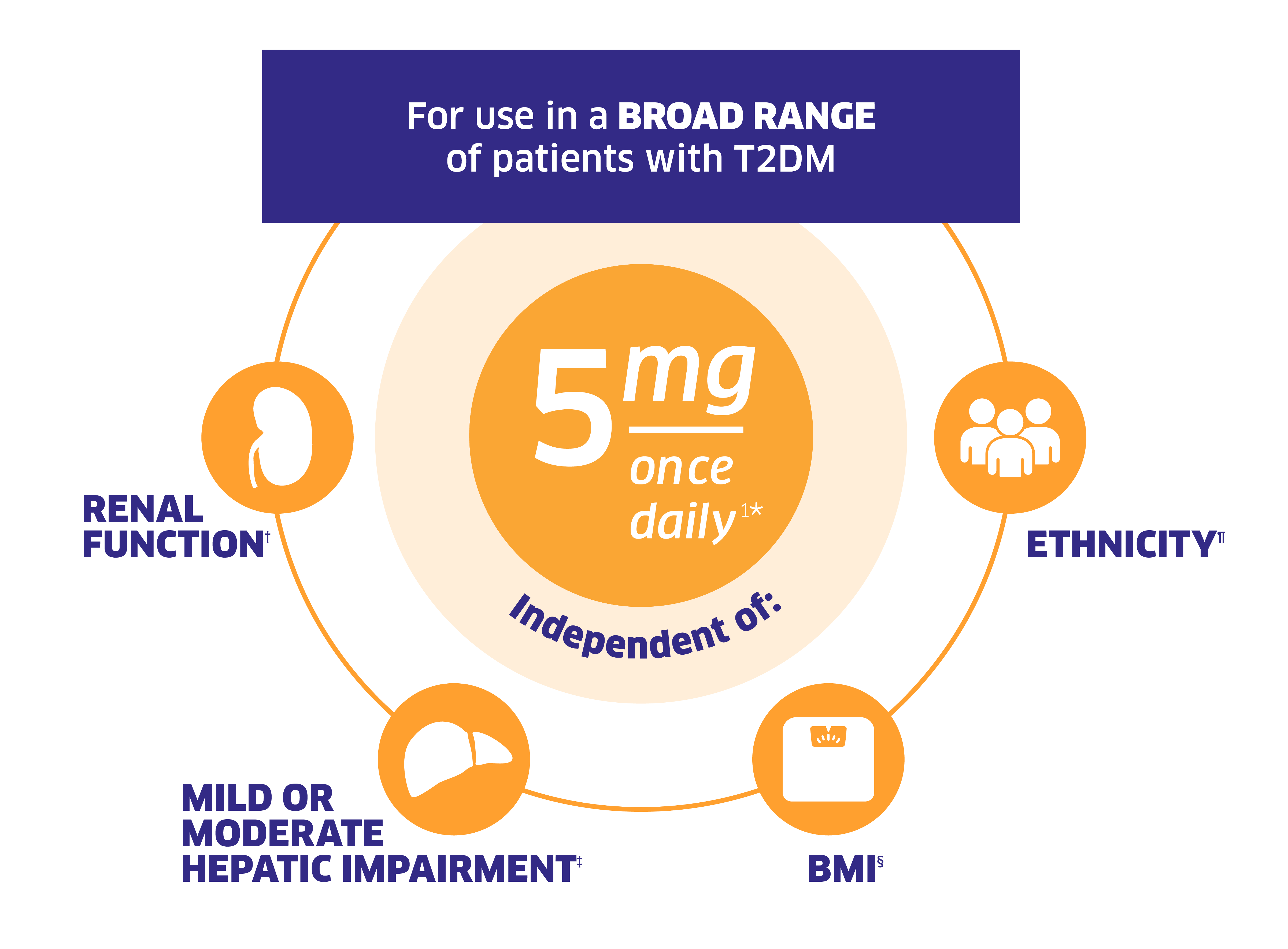 For use in a broad range of patients with T2DM. 5 mg once daily independent of renal function,(no dose adjustment required for patients with renal impairment. Use with caution in patients with ESRD and those on dialysis), mild or moderate hepatic impairment, (no dose adjustment required for patients with mild and moderate hepatic impairment. Not recommended in patients with severe hepatic impairment), BMI (no dose adjustment required based on BMI), or ethnicity (no dose adjustment required based on race. Race had no obvious effect on the plasma concentrations of linagliptin based on a composite analysis of available pharmacokinetic data).