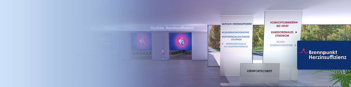 Brennpunkt Herzinsuffizienz