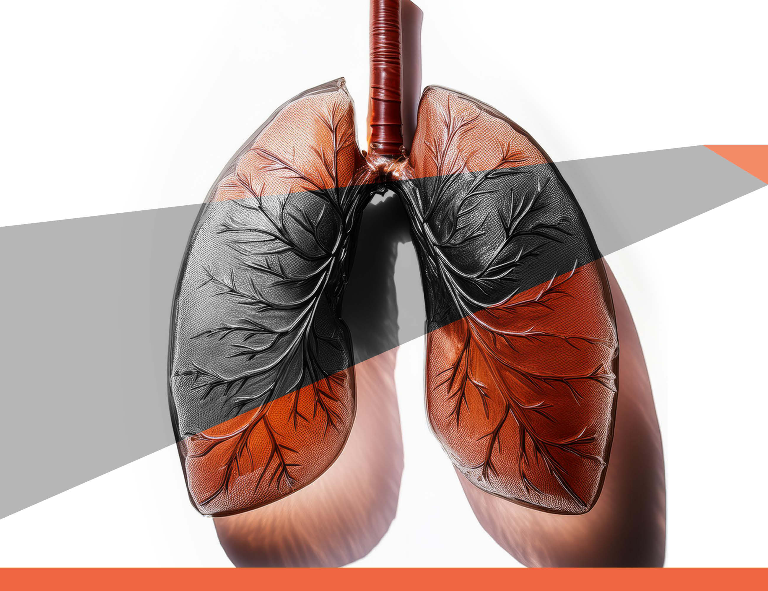 Was Bedeutet Ein Schatten Auf Der Lunge pro.boehringer-ingelheim.com