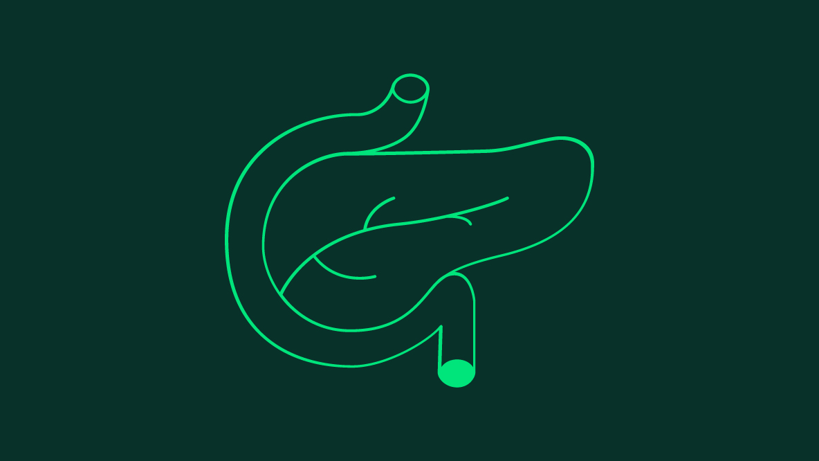 Behandlungsteam Bereich: Typ-2-Diabetes