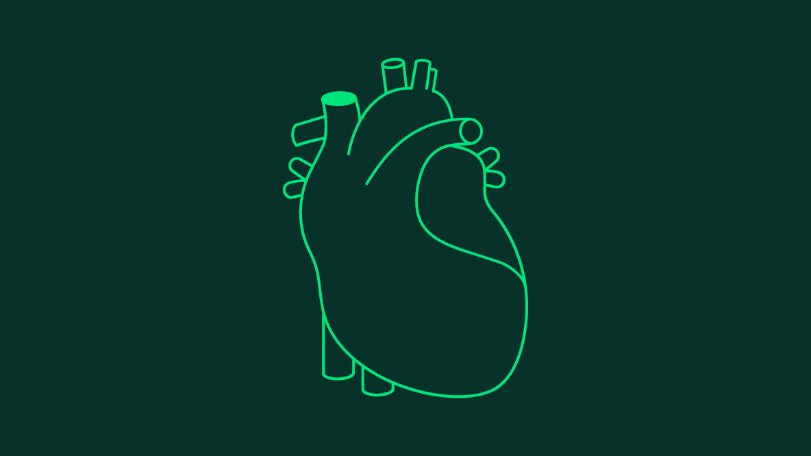 Behandlungsteam Bereich: Herzinsuffizienz