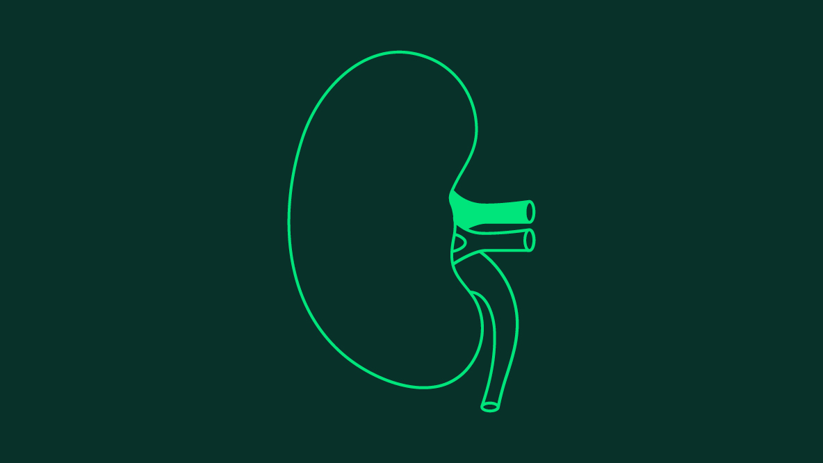 Behandlungsteam Bereich: Niereninsuffizienz