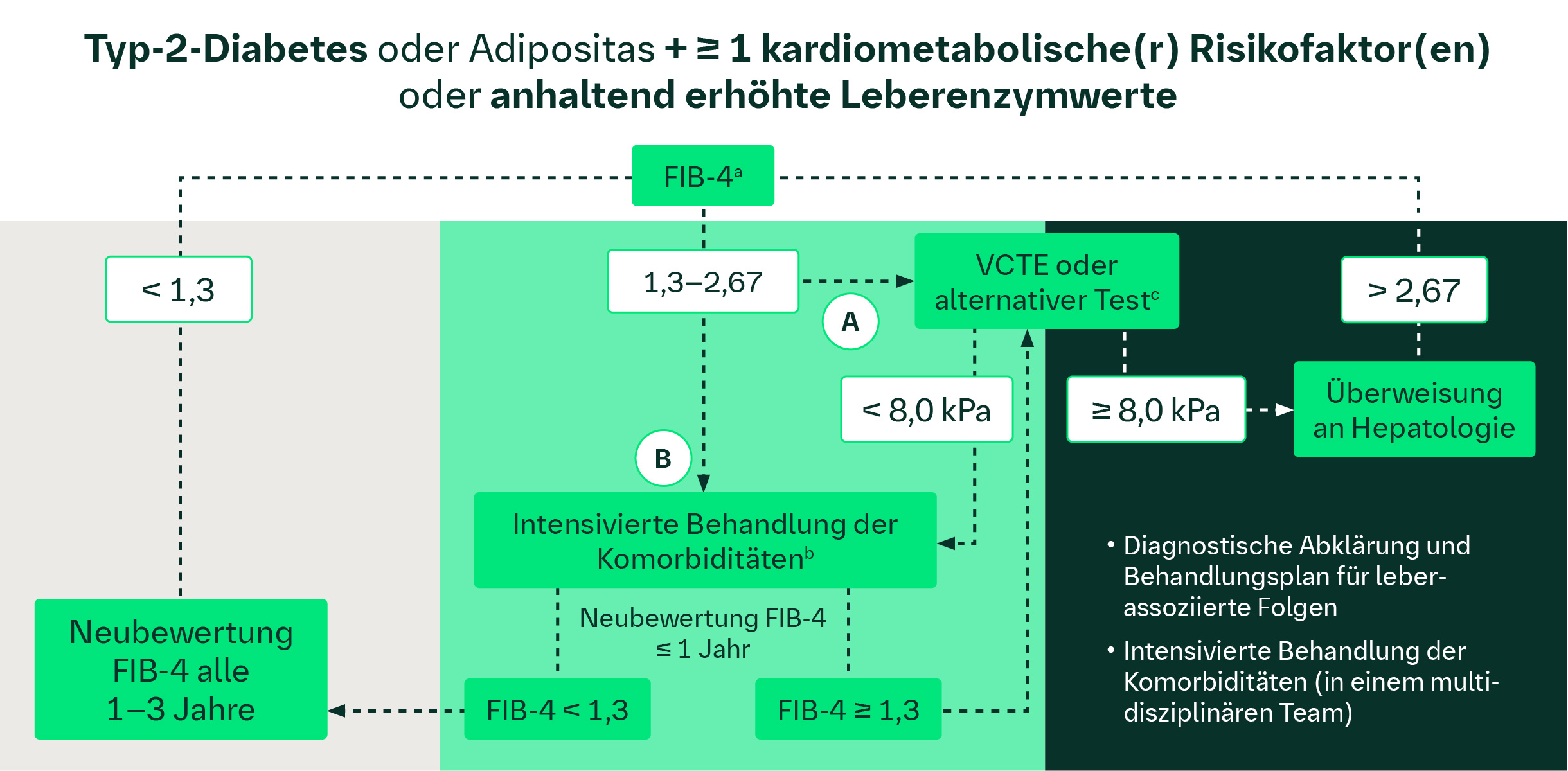 Diagnosealgorithmus: Leitliniengerechte Diagnostik des Fibrosestatus bei MASLD oder MASH