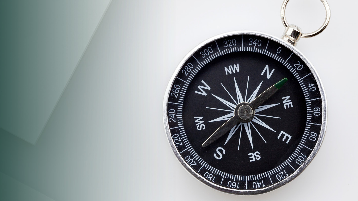 Leitliniennavigator: interaktiv aktuelle Leitlinienempfehlungen entdecken.