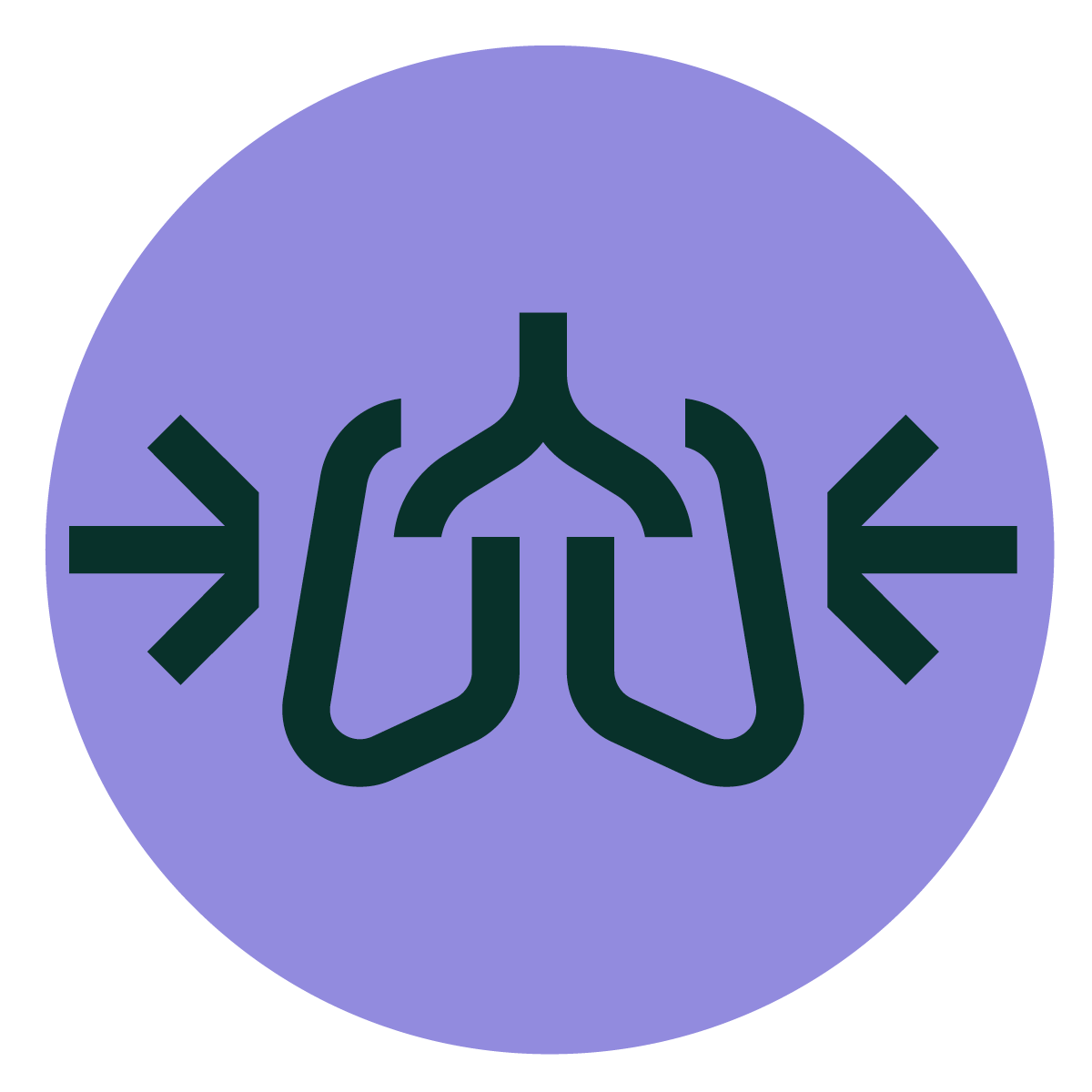 Icon zum Therapieziel langfristiger Erhalt der Lungenfunktion