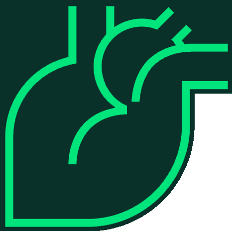 Anatomisches Herz symbolisiert die Diagnose und Therapie der Herzinsuffizienz