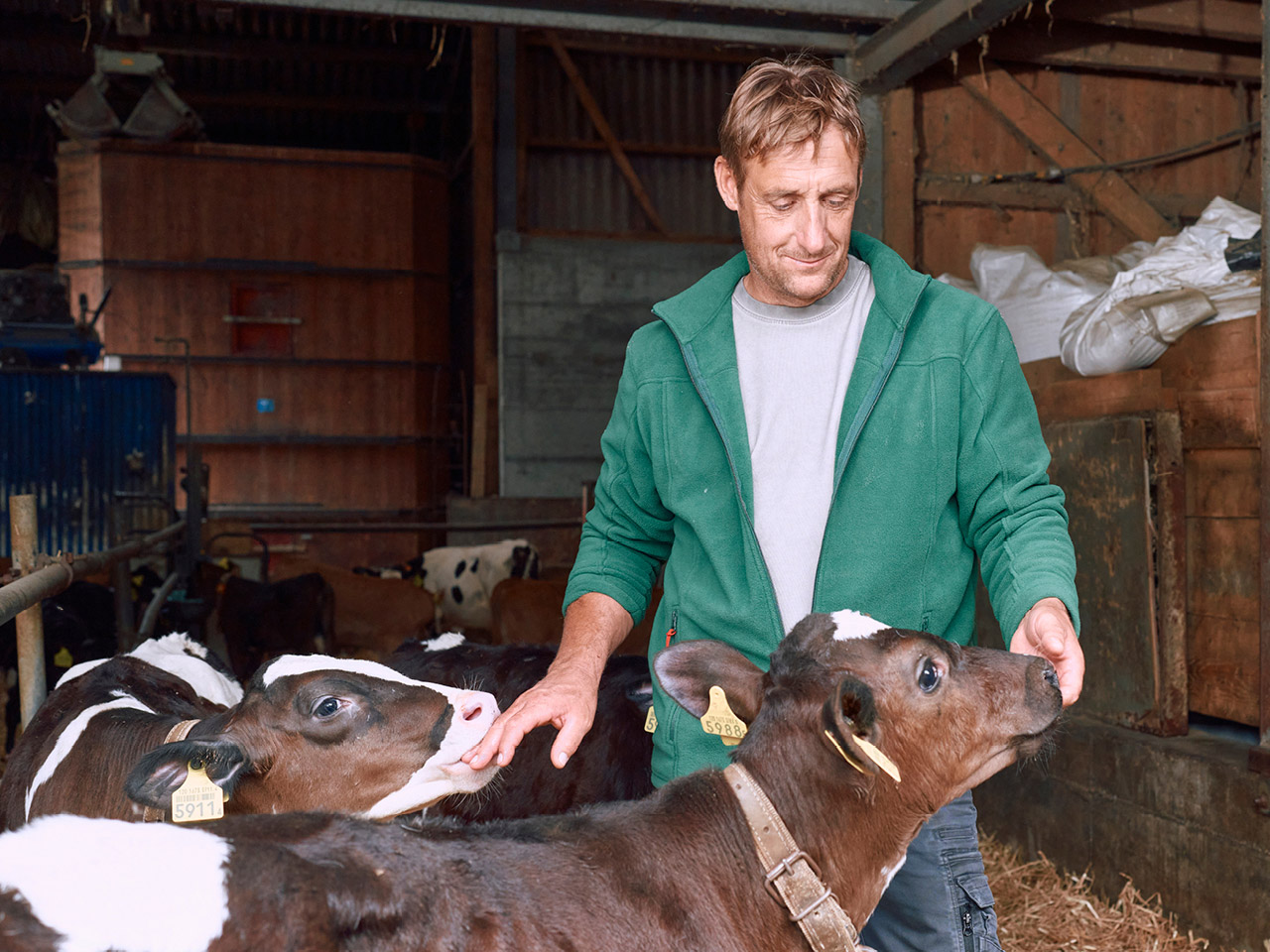 Bauer mit Kalb