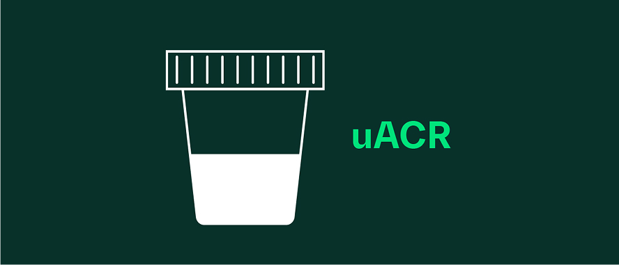 Uacr Containers Detect the SOS | uACR Test for Albuminuria Screening