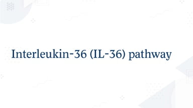 Interleukin-36 (IL-36) pathway