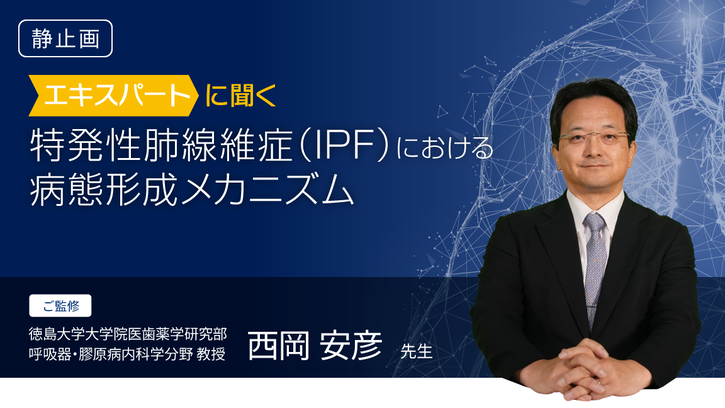 形態と機能からみた呼吸器疾患: 病態を読み解くメカニズム Amazon.co.jp: 形態と機能からみた呼吸器疾患: 病態を読み解く