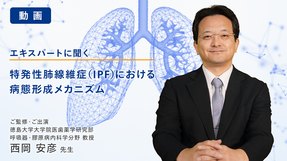 特発性肺線維症（IPF）における病態形成メカニズム（動画） | べー