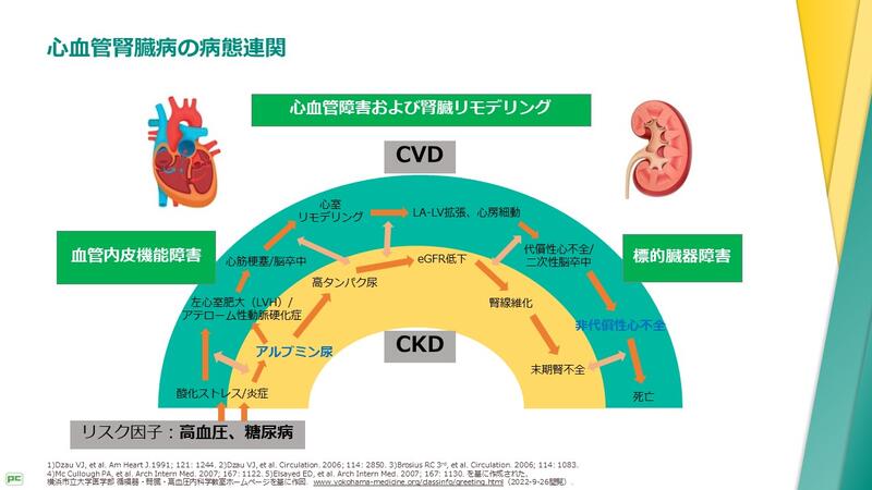 心血管腎臓病の病態連関を考慮した2型糖尿病治療の重要性02