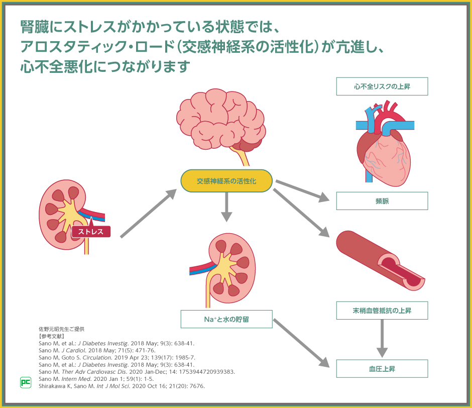 心腎連関に対するSGLT2阻害薬の作用機序とジャディアンスの10年