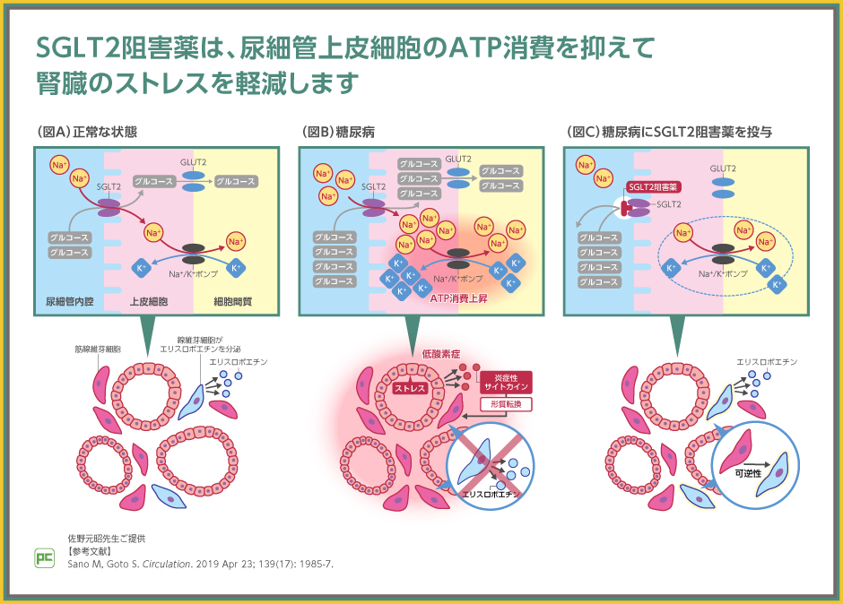 包括的治療戦略〈Ｖｏｌ．２〉 Amazon.co.jp: 包括的治療戦略 Vol.2 for Functional Management