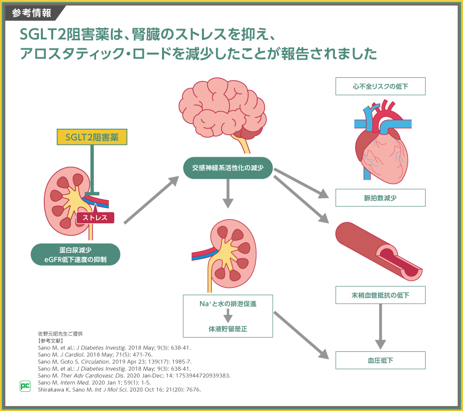 ARNIとSGLT2阻害薬についてシンプルにまとめてみましたver.2