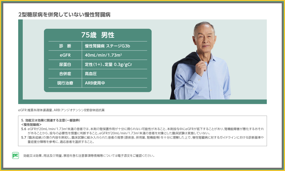 腎臓 2025ss rectangle_large_type_2_c833027