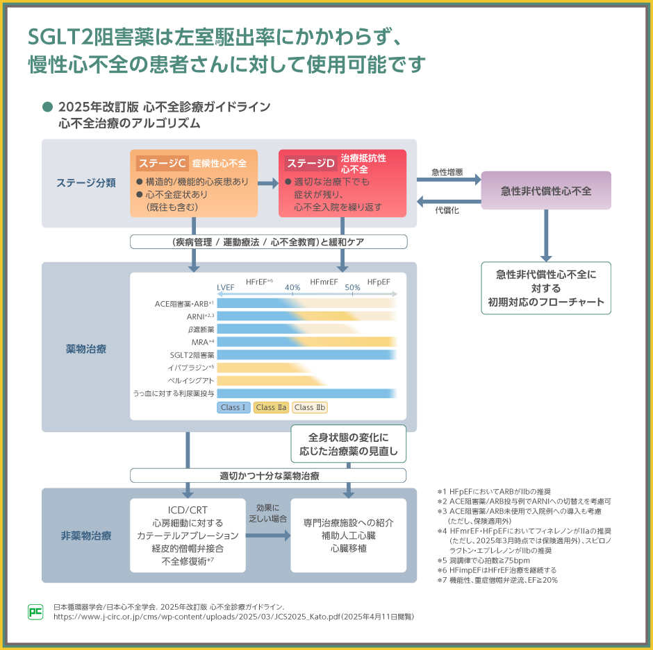 【裁断済み】循環器の重要疾患の治療法と臓器・疾患別最新の治療ガイドライン Update！ 循環器の病気図鑑:病態・治療を押さえてケアの根拠に