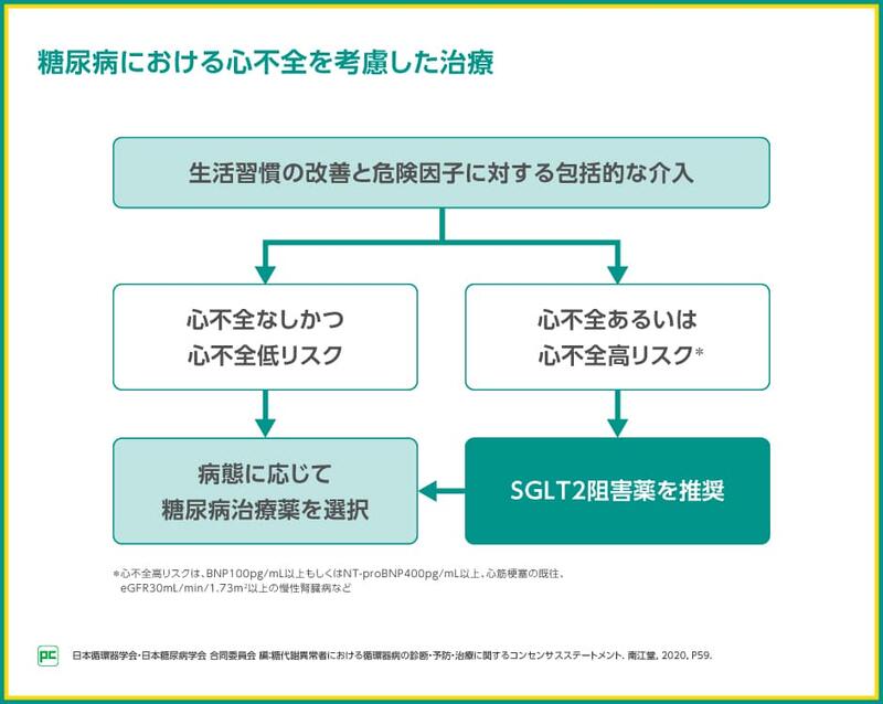 2020年に公開された、日本循環器学会と日本糖尿病学会による合同コンセンサスステートメントでは、心不全あるいは心不全高リスクの糖尿病に対する治療として、SGLT2阻害薬の投与が推奨されました。