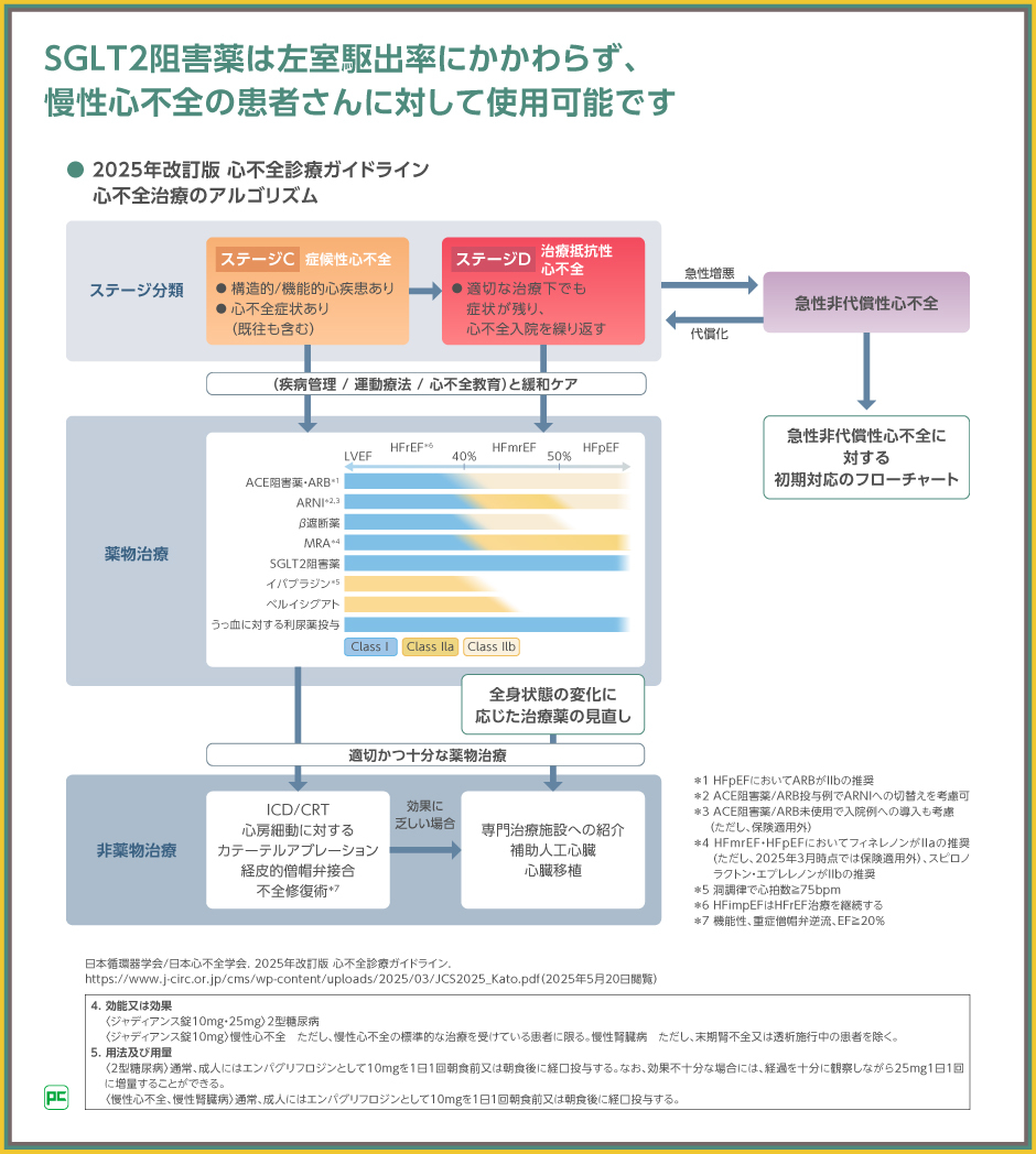 2025年改訂版 心不全診療ガイドライン』における左室駆出率別