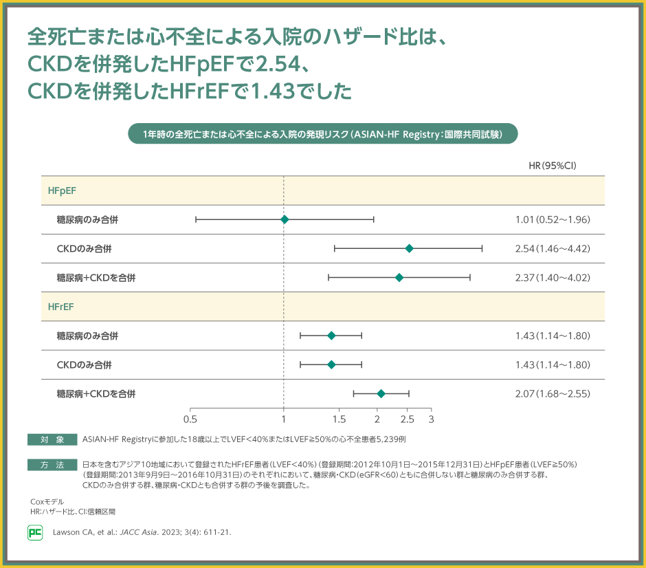 【裁断済み】循環器の重要疾患の治療法と臓器・疾患別最新の治療ガイドライン 循環器疾患最新の治療2024-2025 | 伊藤浩, 山下武志 |本 | 通販
