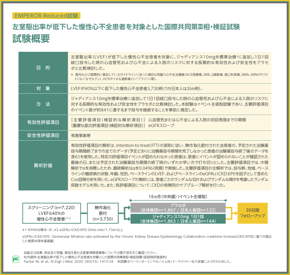 2025年改訂版 心不全診療ガイドライン』における左室駆出率別