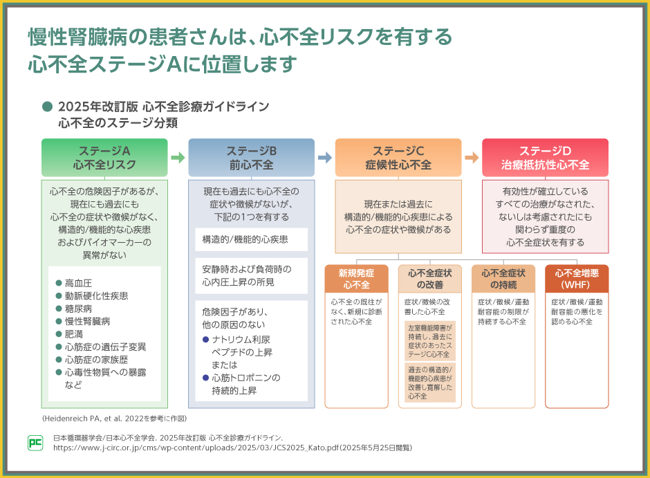 2025年改訂版 心不全診療ガイドライン』のポイントと、心不全の