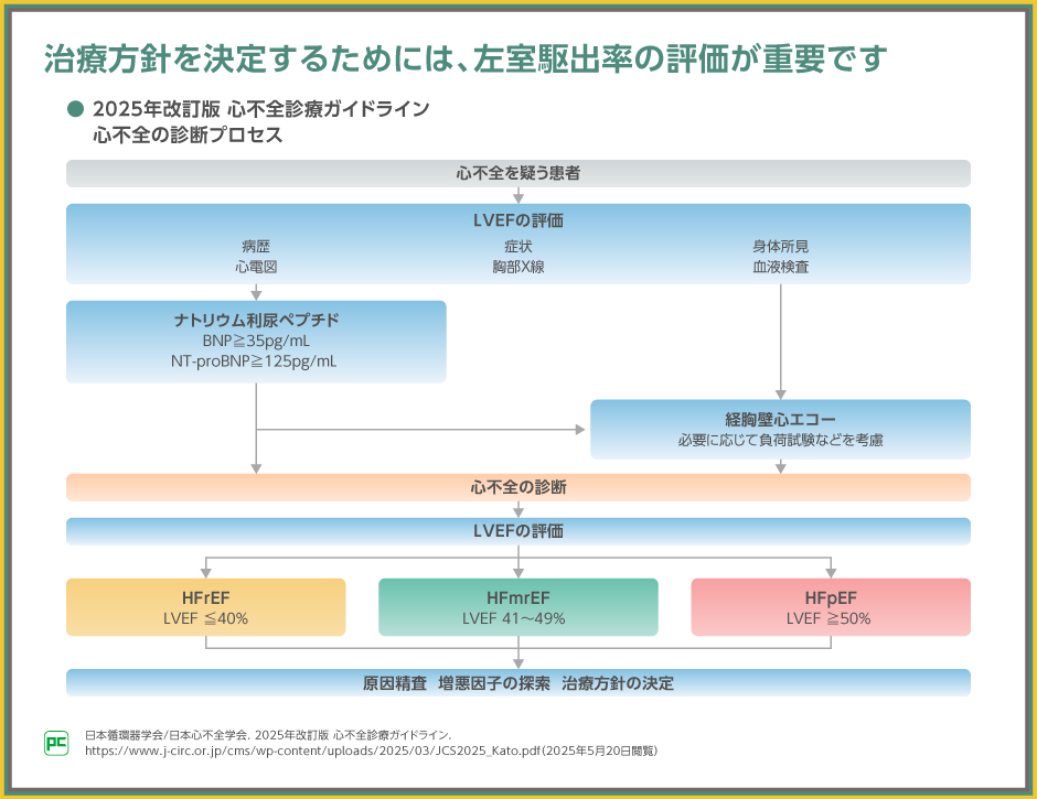 2025年改訂版 心不全診療ガイドライン』における左室駆出率別