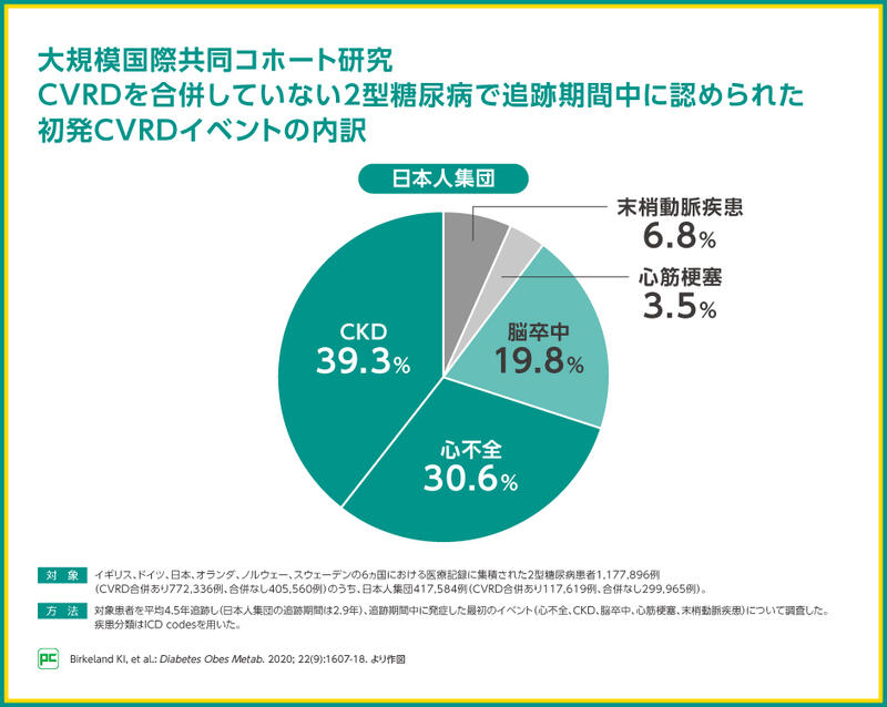 2型糖尿病の日本人集団での初発CVRDイベントのうち CKDが39.3%、心不全が30.6%  
