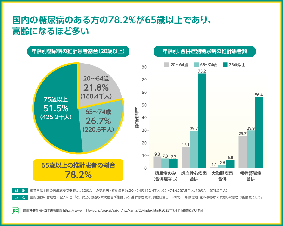 高齢者2型糖尿病の心腎代謝連関を考慮した治療アプローチとジャ
