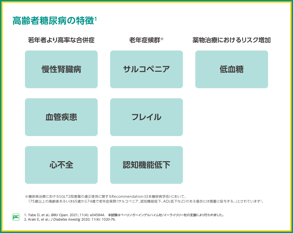 高齢者2型糖尿病の心腎代謝連関を考慮した治療アプローチとジャ