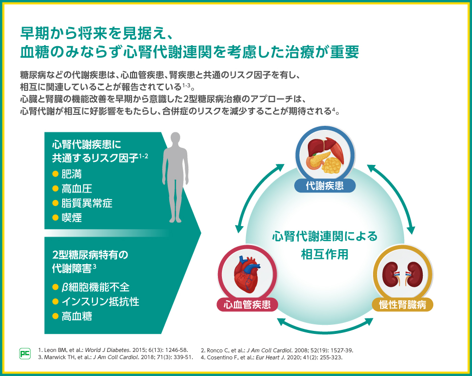 高齢者2型糖尿病の心腎代謝連関を考慮した治療アプローチとジャ