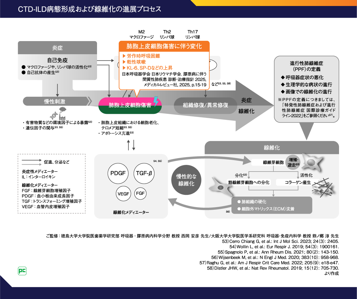 関節リウマチに伴う間質性肺疾患（RA-ILD）に対する治療戦略 ～膠原病