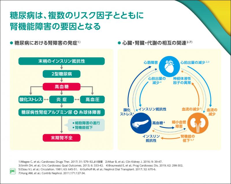 糖尿病性腎症を見据えた糖尿病の治療戦略｜べーリンガープラス