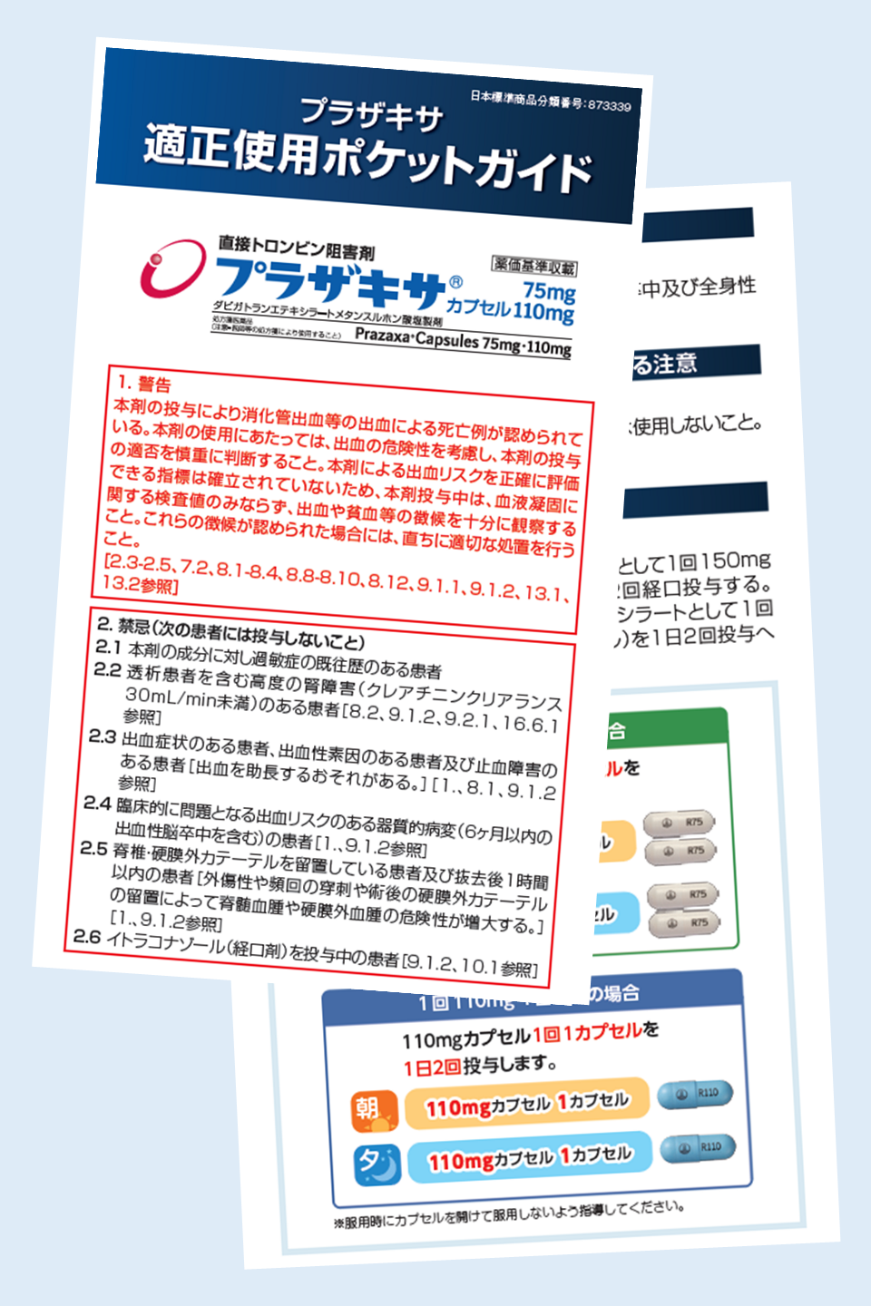 革新的医薬品 審査のポイント image.jpg