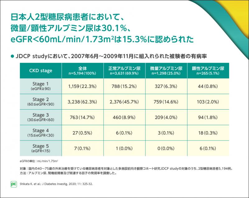 糖尿病性腎症を見据えた糖尿病の治療戦略｜べーリンガープラス