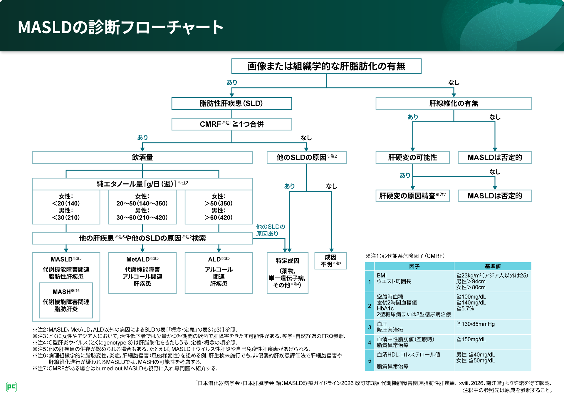 MASLD診療ガイドライン2026から読み解くMASLDの最前線 | べーリンガー