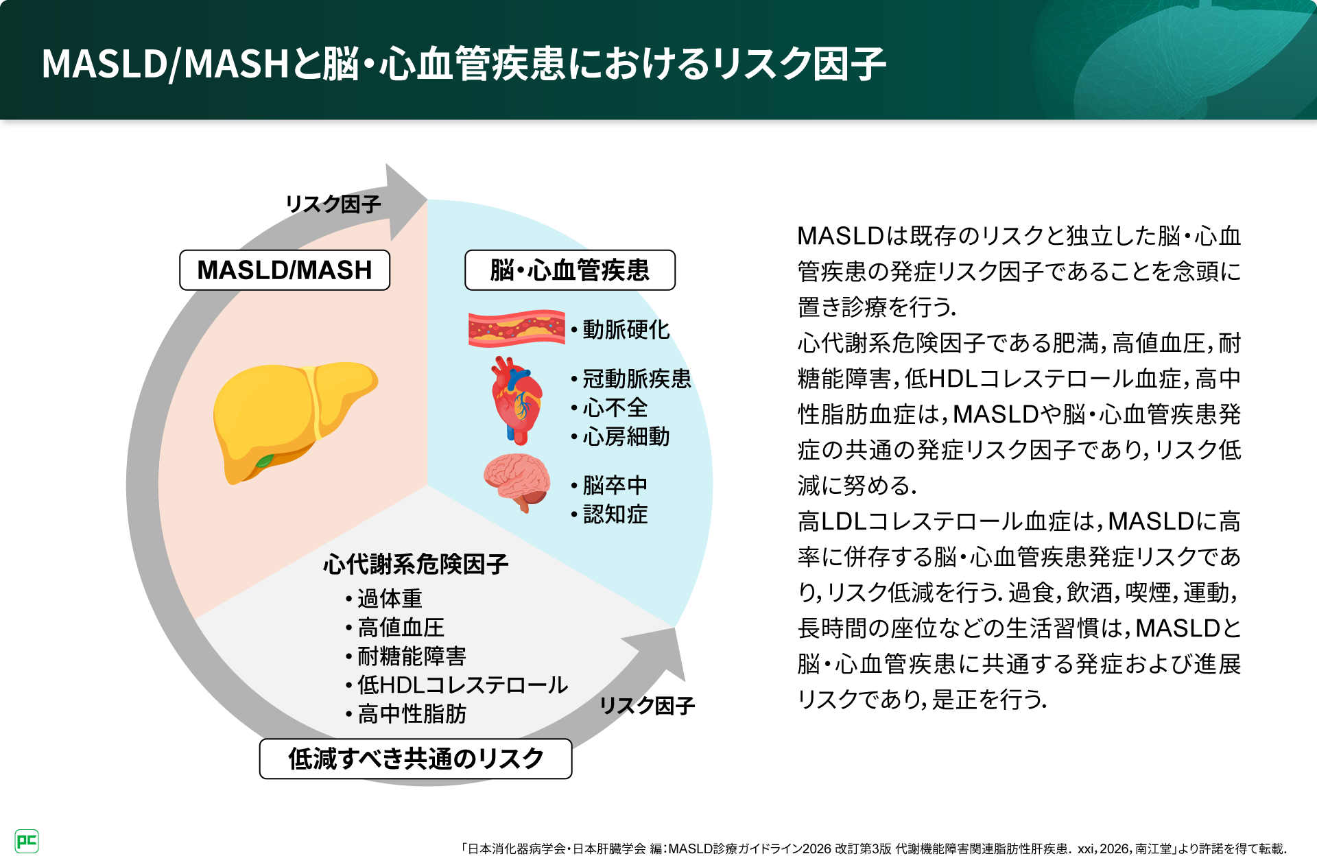 MASLD診療ガイドライン2026から読み解くMASLDの最前線 | べーリンガー