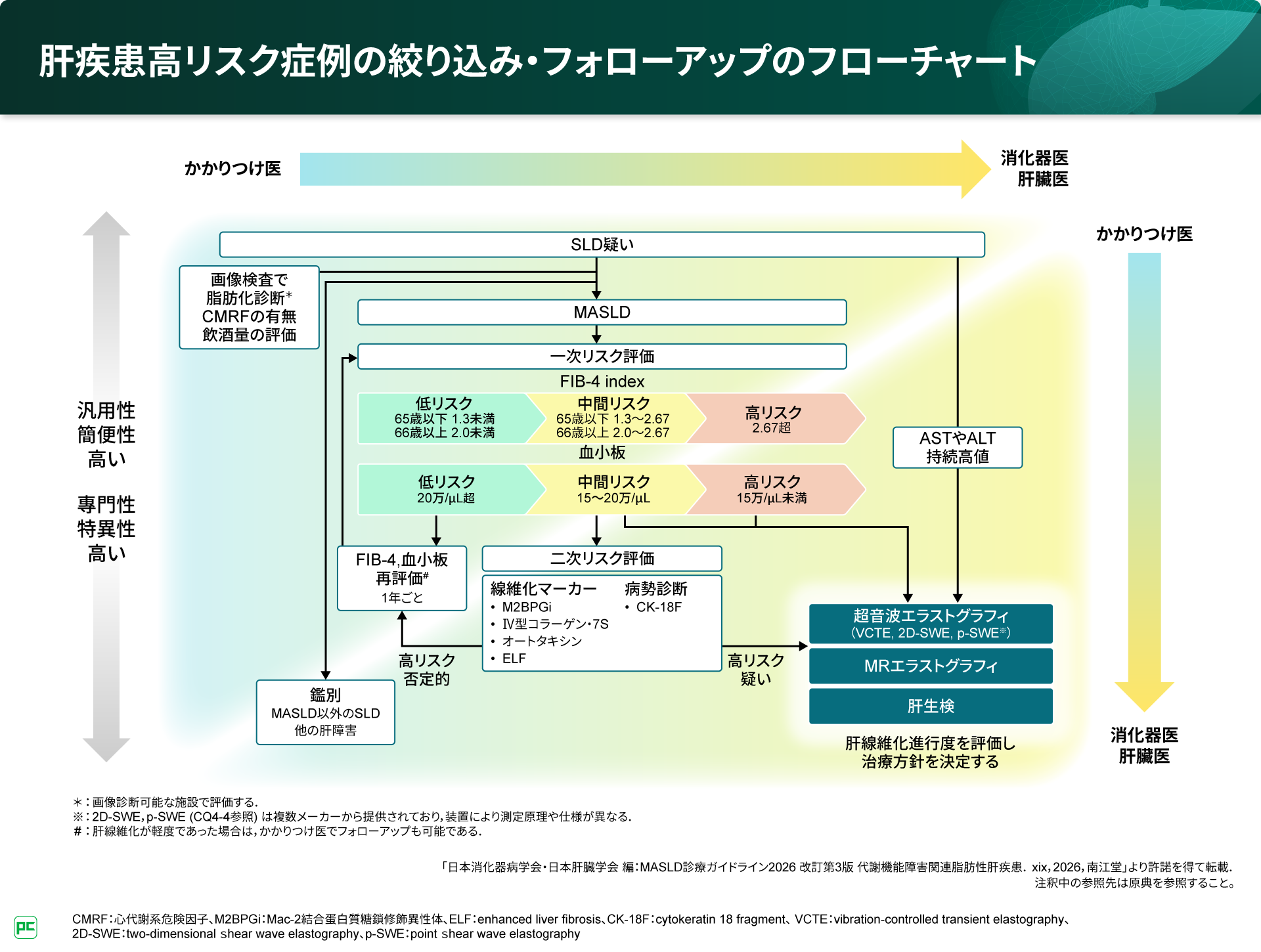 MASLD診療ガイドライン2026から読み解くMASLDの最前線 | べーリンガー