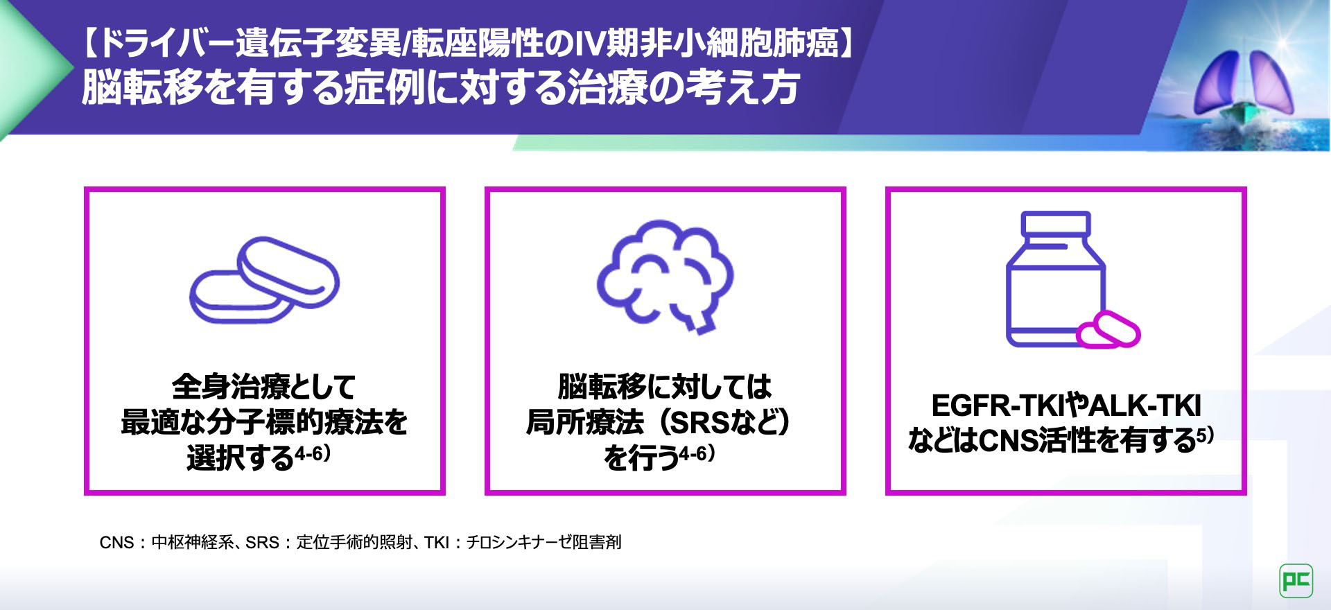 脳転移を有するHER2遺伝子変異陽性肺癌に対するヘルネクシオス®の有用