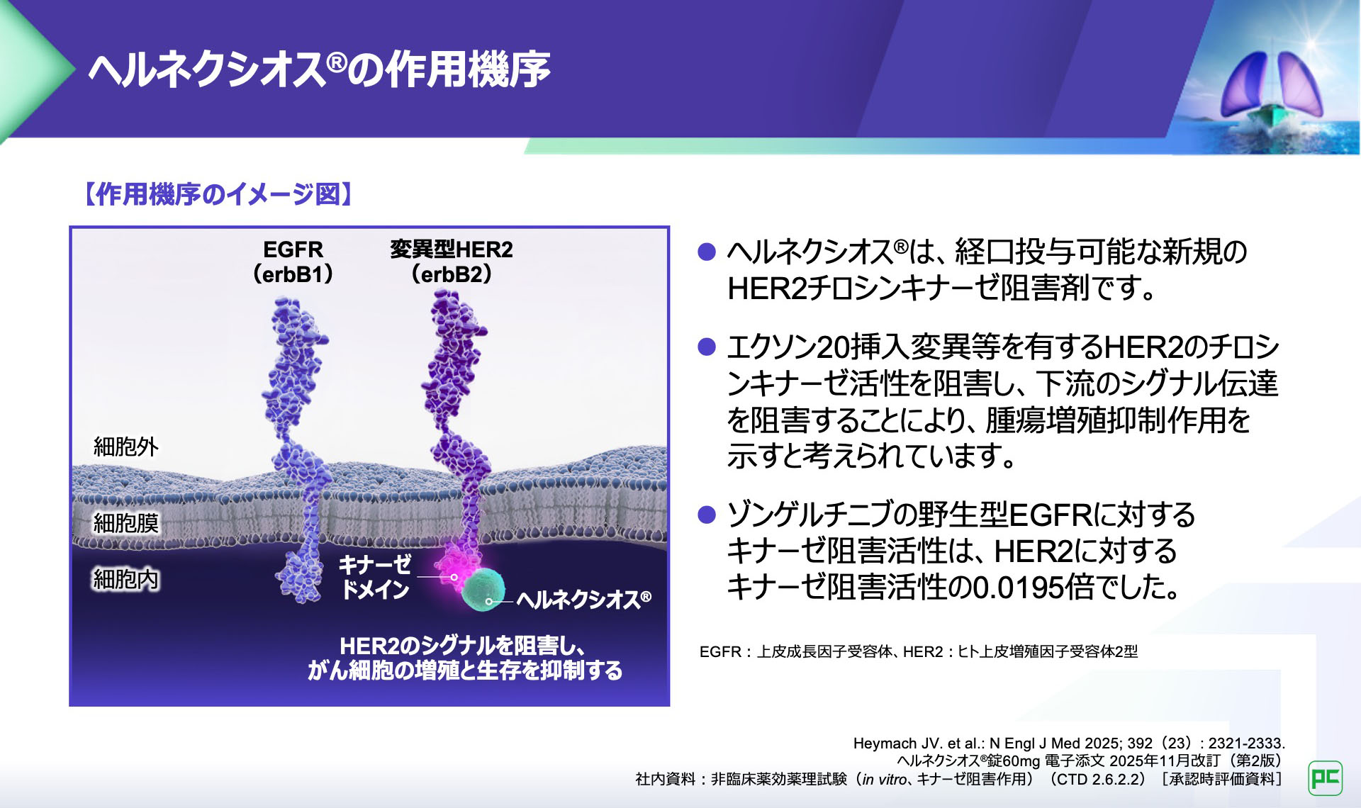 脳転移を有するHER2遺伝子変異陽性肺癌に対するヘルネクシオス®の有用