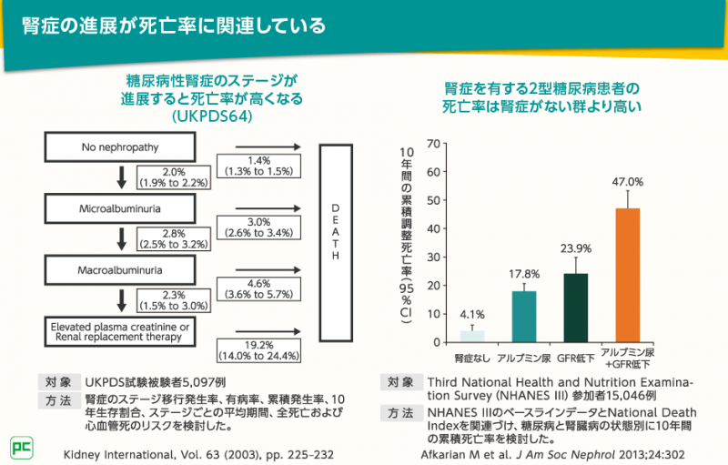 今こそ考えたい アジア人の2 型糖尿病治療 腎イベント抑制の重要性とジャディアンスのエビデンス Jardiance ジャディアンス べーリンガープラス