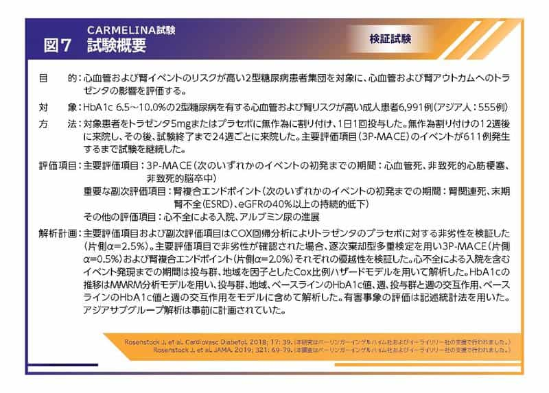 3月9日「世界腎臓デー」に考える 腎機能を考慮した2型糖尿病の治療選択｜べーリンガープラス