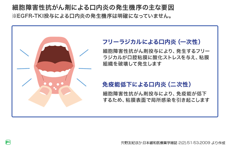 図1 細胞障害性抗がん剤による口内炎発生機序の報告