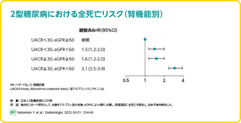 2型糖尿病でのCKD有病率は54.0%(日本人データ、2020年報告)02