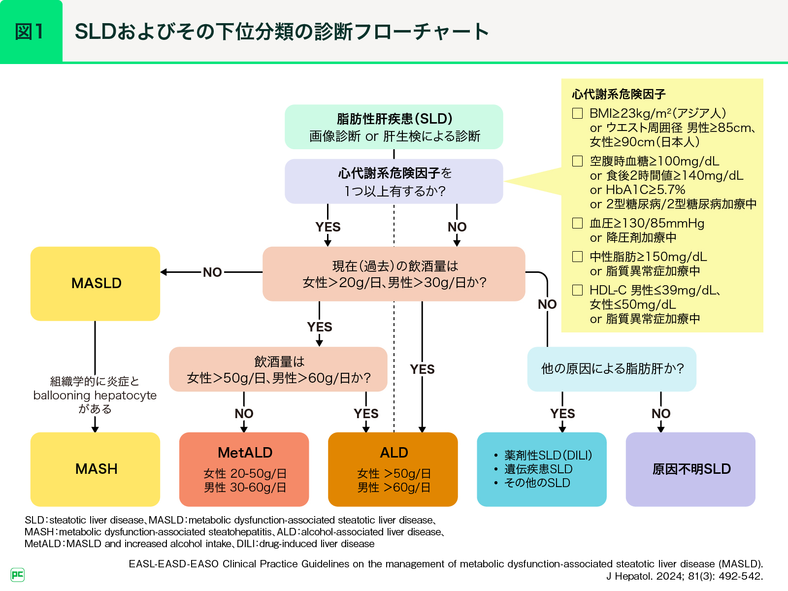 Masld Algorithm MASLD/MASHの疾患概念と肝臓から考える代謝疾患 | べーリンガープラス